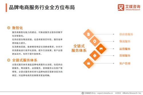 艾媒咨询 2022年中国品牌电商服务行业研究报告